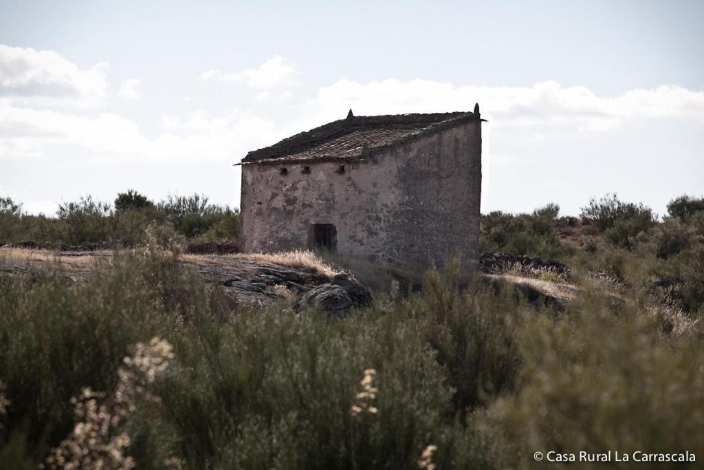 Casa Rural La Carrascala Zamora Ngoại thất bức ảnh